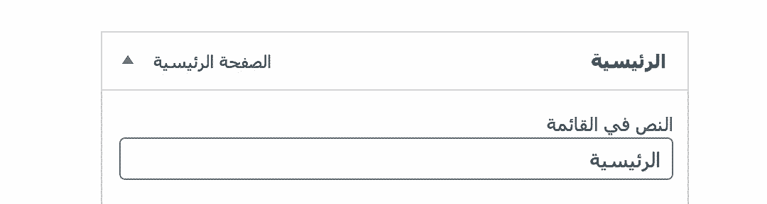 خانة نص مخصص في قوائم ووردبريس